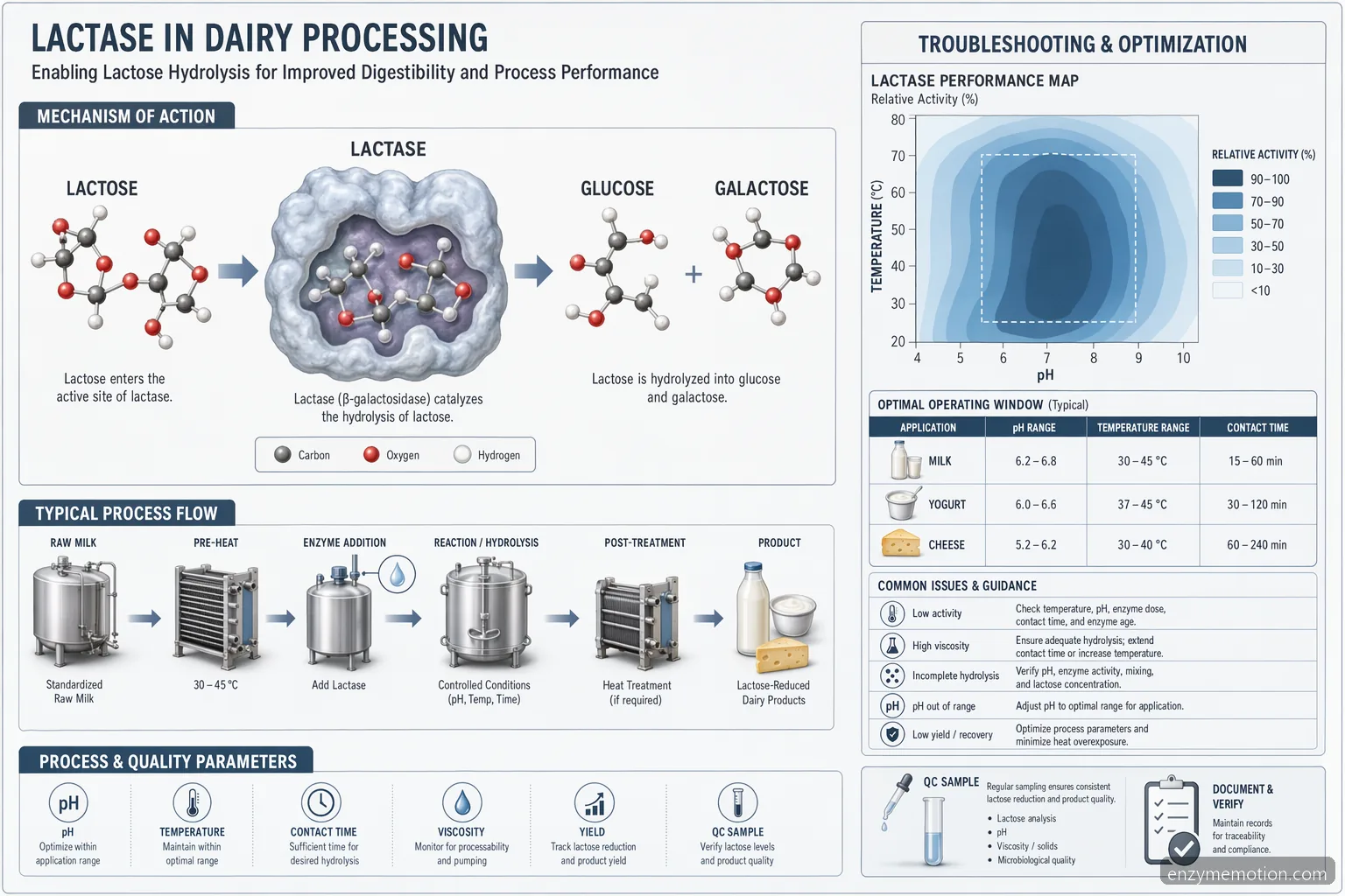 Dairy relief lactase enzyme, industrielles Dairy-Prozessdiagramm zur Laktosehydrolyse mit pH- und Temperaturbezug
