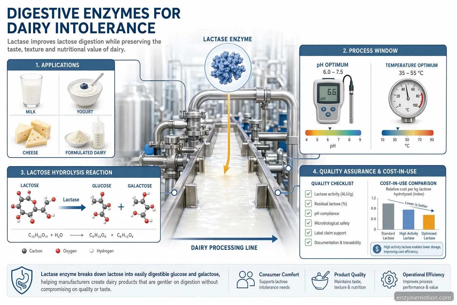 digestive enzymes for dairy intolerance industrial dairy guide: lactase workflow for milk, yogurt, cheese and QC