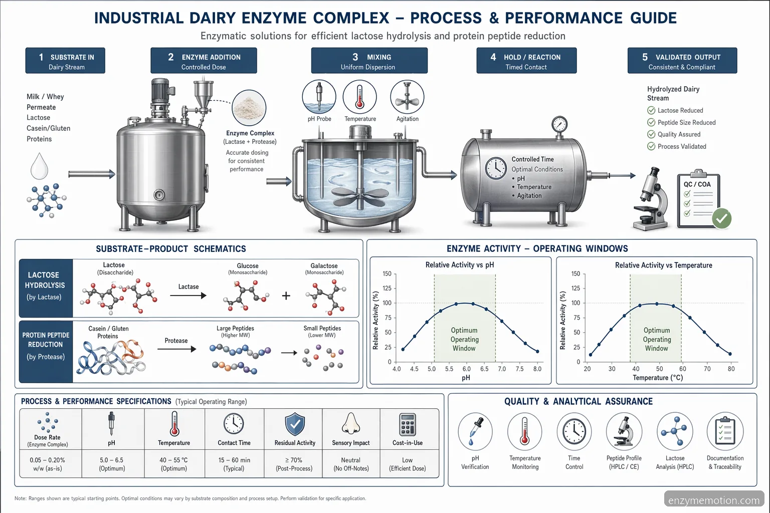 digestive enzymes for gluten and dairy process diagram, mapping enzyme addition, pH-temperature windows, and QC outputs