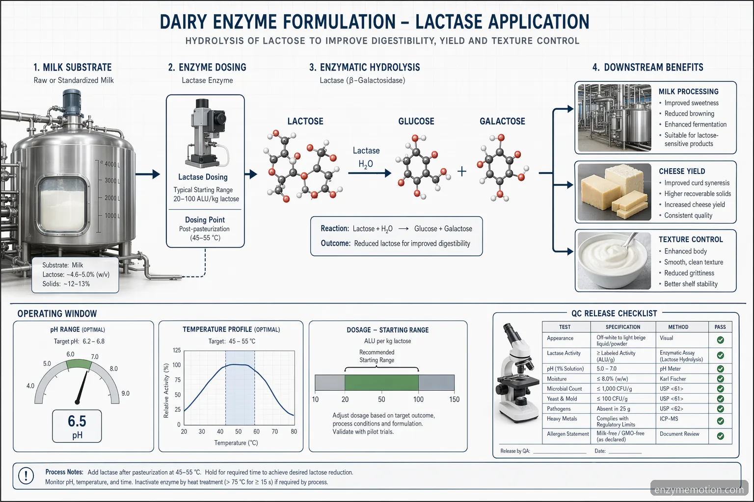 gluten dairy enzymes process diagram showing lactose-to-glucose conversion, pH and temperature windows, and release QC